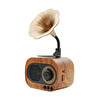 Winex Wireless Nostalji Gramafon Speaker Fm Radyo SD Kart USB 3.5MM Aux Girişli Bluetooth Hoparlör